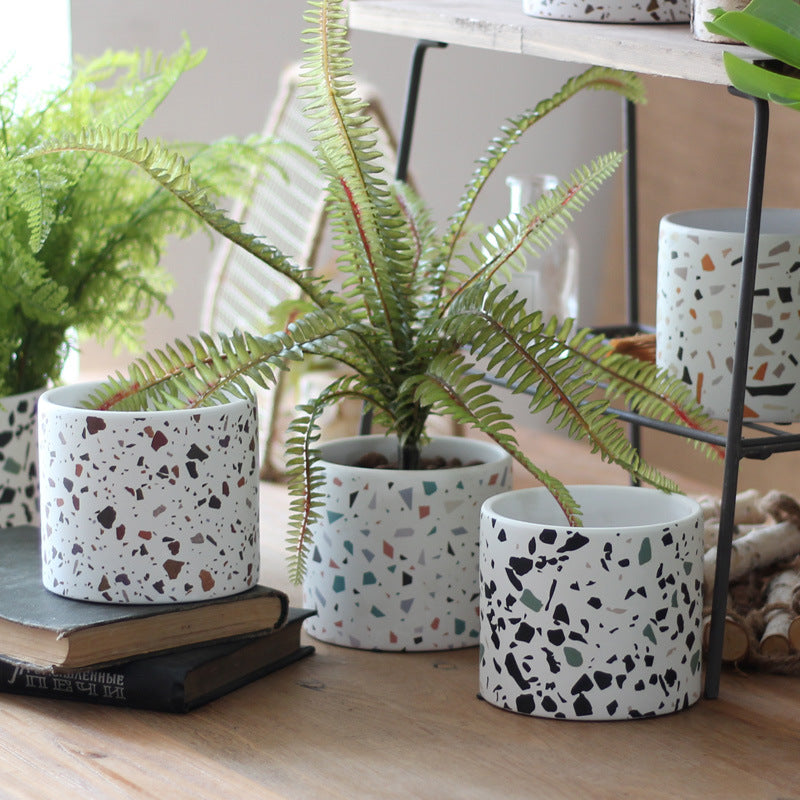 Modern Ceramic Round Planter for Succulent Plants